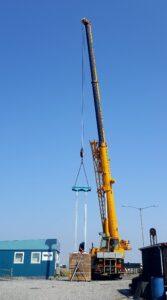 Portrait photograph of a crane