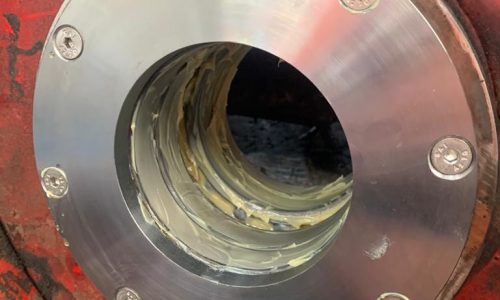 Gottwald Crane bearing in situ